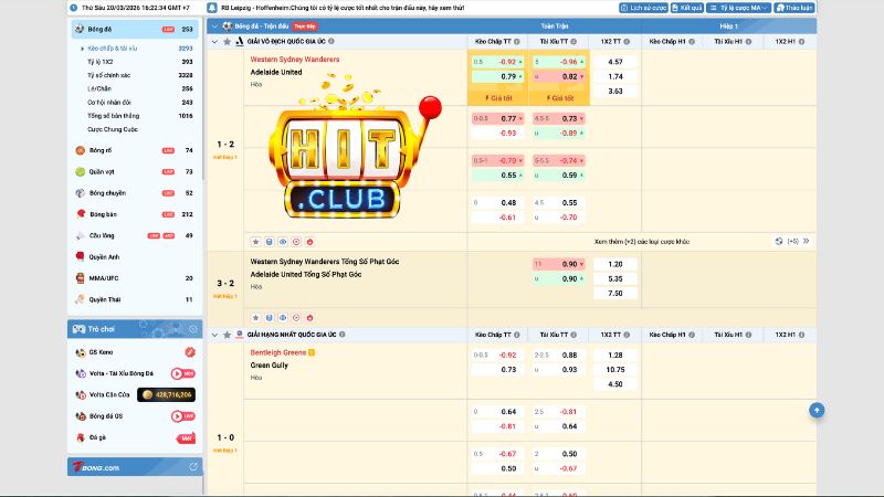 Những Bộ Môn Cá Cược Thể Thao Hot Nhất Tại Hitclub
